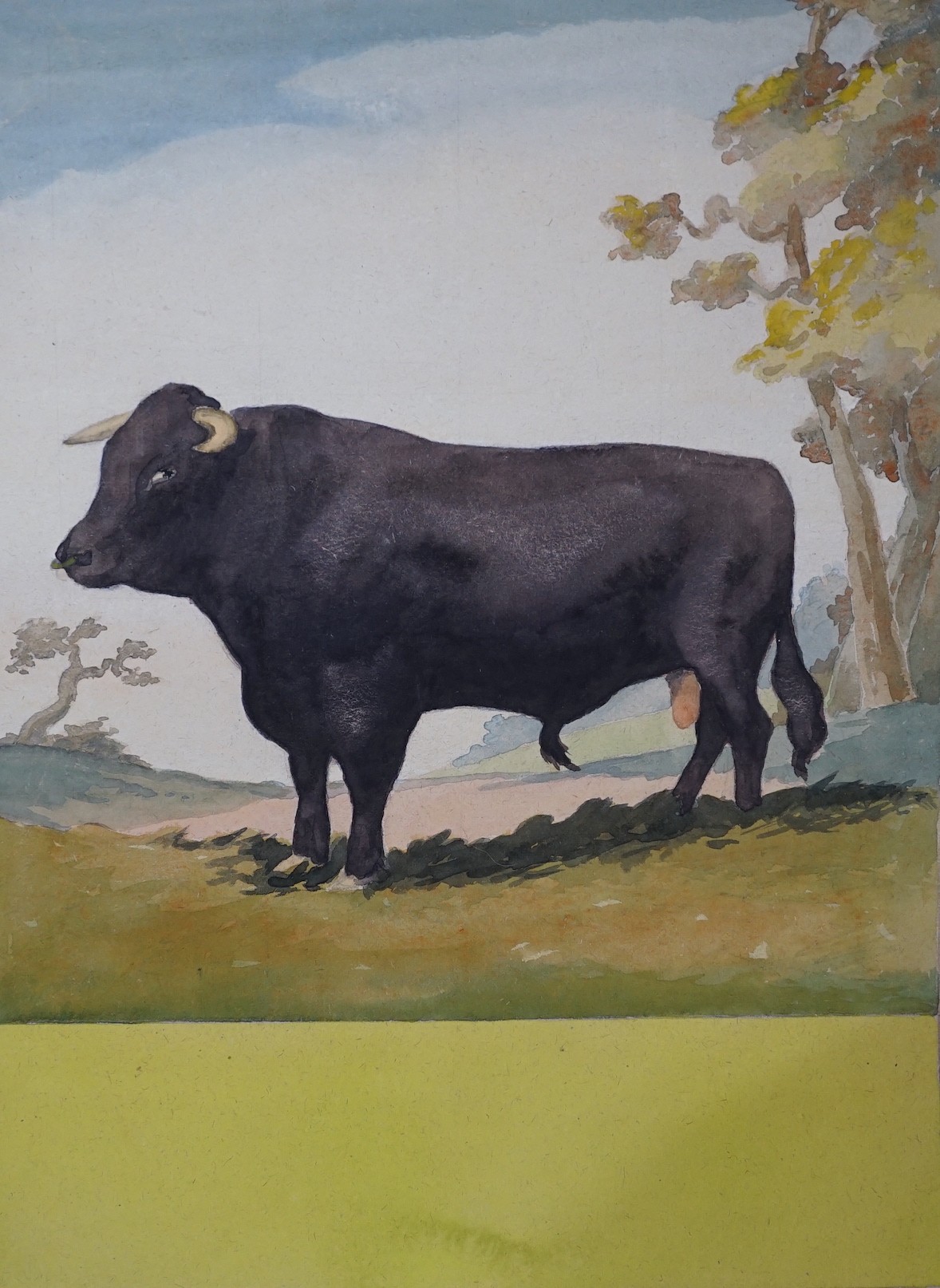 Victor Whittles, watercolour, Study of a bull, signed and dated 1948, 42 x 31cm, unframed